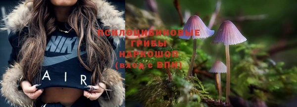 герыч Белокуриха