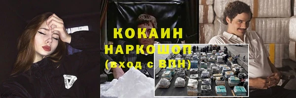 шишки Белоозёрский