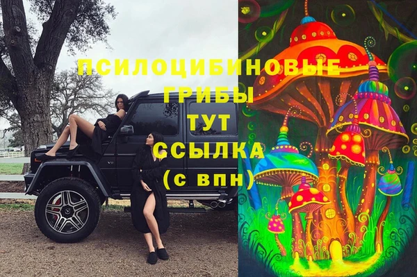 шишки Белоозёрский