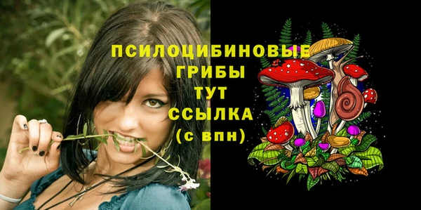 шишки Белоозёрский