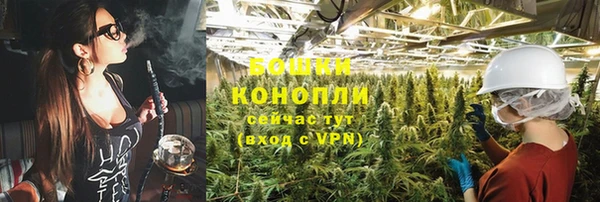 шишки Белоозёрский