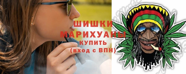 шишки Белоозёрский