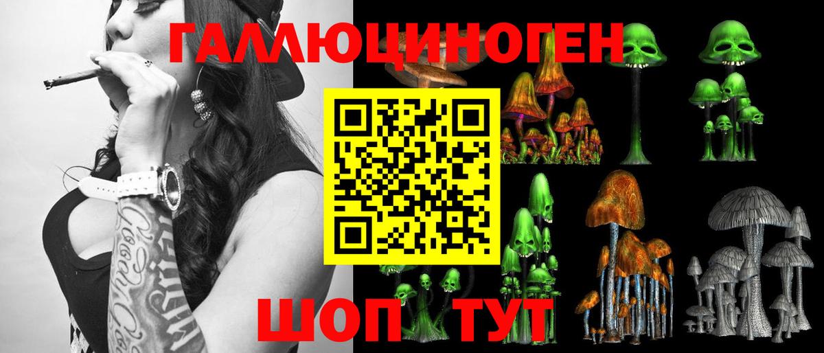 Горно-Алтайск  Псилоцибиновые грибы прущие грибы  Вход с VPN 