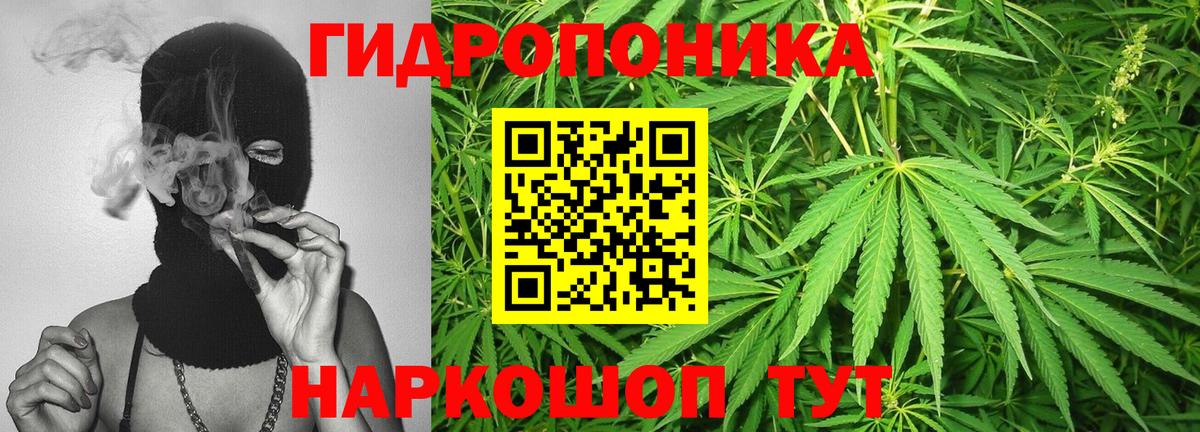 Конопля Ganja  Конопля планчик  Вход с VPN  Горно-Алтайск  Бошки Шишки сатива  Канабис VHQ 